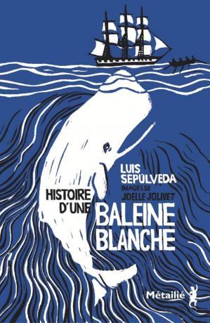 Baleine blanche sepulveda